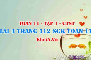 Bài 3 trang 112 SGK Toán 11 Tập 1 Chân trời sáng tạo